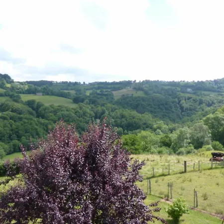 度假居 Maison Familiale Avec Jardin, Proche Parc Des Volcans, 9 Pers, 6 Ch, Animaux Acceptes - Fr-1-742-116